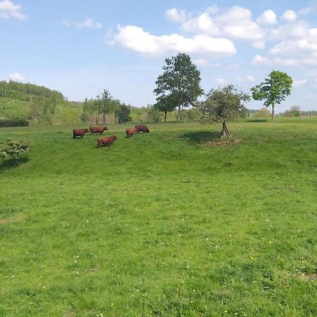 Harzer Bauernhof Lägenhet Thale Exteriör bild