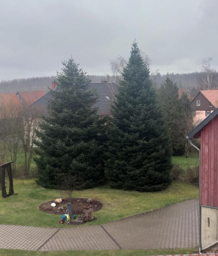 Harzer Bauernhof Lägenhet Thale Rum bild