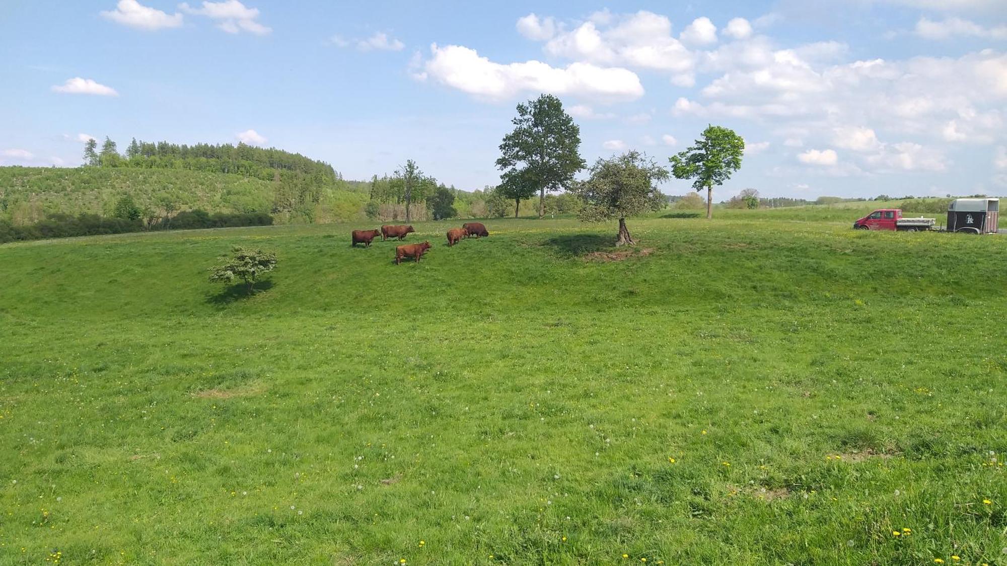 Harzer Bauernhof Lägenhet Thale Exteriör bild